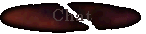chat.gif (2472 bytes)