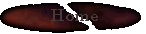 home.gif (2482 bytes)