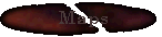 maps.gif (2483 bytes)