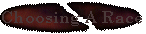 race.gif (2522 bytes)