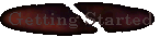 start.gif (2524 bytes)